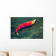 Sockeye Salmon Makes It Wall Decal