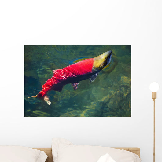 Sockeye Salmon Makes It Wall Decal