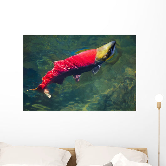 Sockeye Salmon Makes It Wall Decal