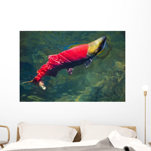 Sockeye Salmon Makes It Wall Decal