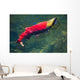 Sockeye Salmon Makes It Wall Decal