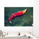 Sockeye Salmon Makes It Wall Decal