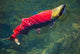 Sockeye Salmon Makes It Wall Decal