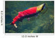 Sockeye Salmon Makes It Wall Decal
