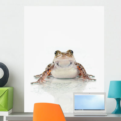 Fire-leg Walking Frog White Wall Decal shown on a wall