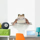 Fire-leg Walking Frog White Wall Decal