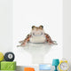 Fire-leg Walking Frog White Wall Decal