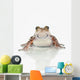 Fire-leg Walking Frog White Wall Decal