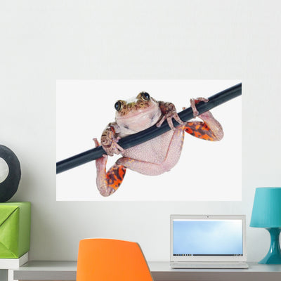 Fire-leg Walking Frog White Wall Decal shown on a wall
