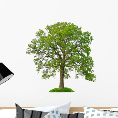 Big Leafy Tree Wall Decal shown on a wall