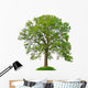 big leafy tree Wall Decal