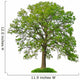 big leafy tree Wall Decal