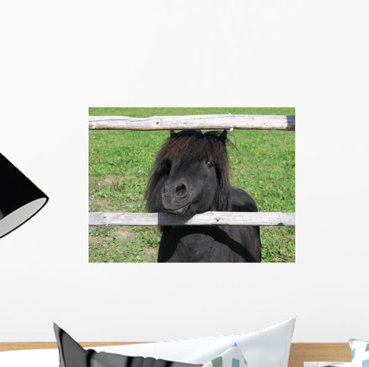 Pony