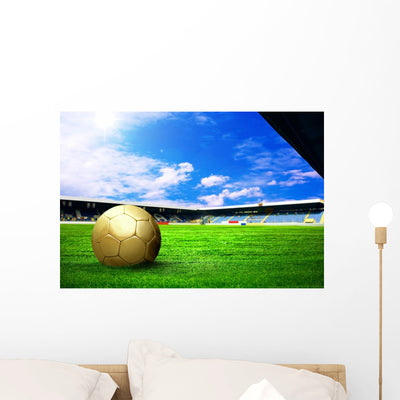 Happiness Football Player after Wall Mural shown on a wall
