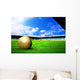 Happiness football player after goal on the field of stadium wit Wall Mural