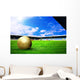 Happiness football player after goal on the field of stadium wit Wall Mural