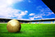 Happiness football player after goal on the field of stadium wit Wall Mural