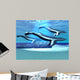 Blue Whale Sanctuary