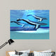 Blue Whale Sanctuary