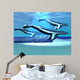 Blue Whale Sanctuary