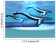 Blue Whale Sanctuary