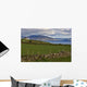 Dingelbay Wall Decal