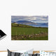 Dingelbay Wall Decal