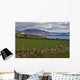 Dingelbay Wall Decal