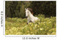 Gallop Wildflower Meadow