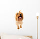 Dog Wall Decal