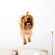 Dog Wall Decal