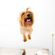 Dog Wall Decal