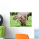 Junges Capybara Wall Mural