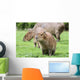 Junges Capybara Wall Mural