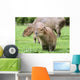 Junges Capybara Wall Mural