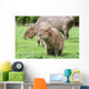 Junges Capybara Wall Mural