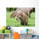 Junges Capybara Wall Mural
