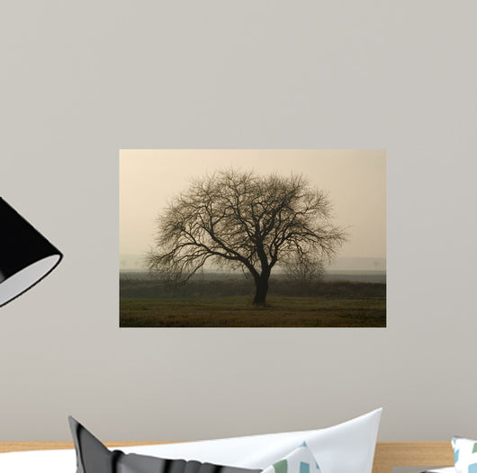 Baum im Winter