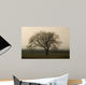 Baum im Winter