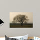 Baum im Winter
