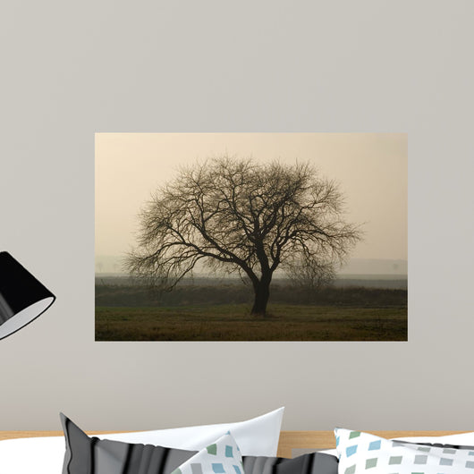 Baum im Winter