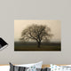 Baum im Winter