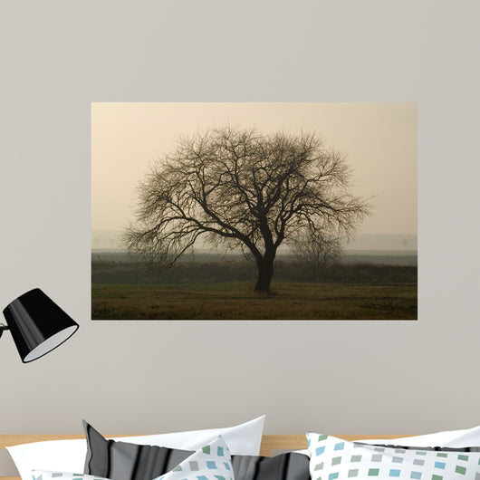 Baum im Winter