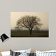 Baum im Winter