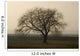 Baum im Winter