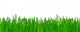 Grass Wall Mural