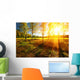 Beautiful landscape with summer forest and sunset Wall Mural