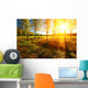 Beautiful landscape with summer forest and sunset Wall Mural