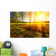 Beautiful landscape with summer forest and sunset Wall Mural