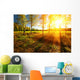 Beautiful landscape with summer forest and sunset Wall Mural